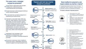 Что должно быть на сайте ИП в Ригла