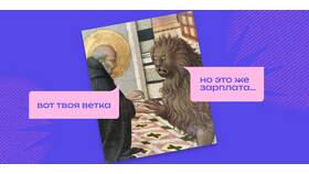 Что такое модальная зарплата простыми словами в Ригла
