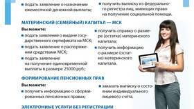 Как получать алименты через Госуслуги в Ригла