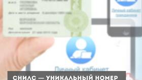 Как получить СНИЛС по паспорту в Ригла