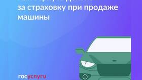 Как посмотреть страховку на машину через Госуслуги в Ригла