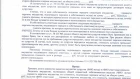 Как производится раздел совместно нажитого имущества в Ригла