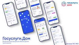 Как установить и настроить приложение Госуслуги в Ригла