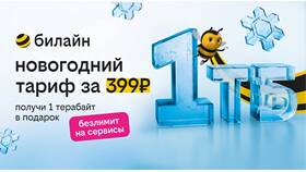 Как вернуть предыдущий тарифный план Билайн в Ригла