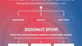 Основные признаки налога как законного платежа в Ригла