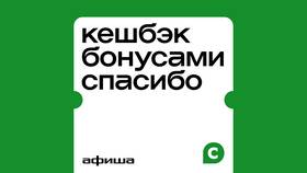 Почему не начислился кэшбэк в Ригла