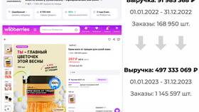 Почему товары на Wildberries задерживаются в Ригла