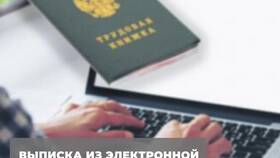 СТД ПФР: что это за справка и как получить через Госуслуги в Ригла