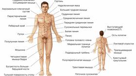 Зачем берут комиссию в Ригла