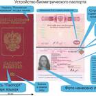 Что такое биометрическое фото для визы